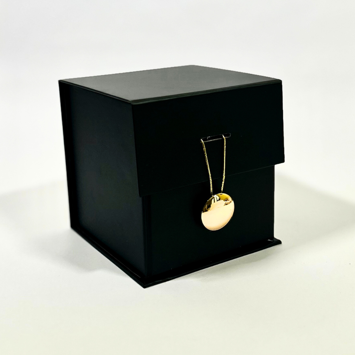 Wild Instinct Collection -Tuscan Leather Scented Candle