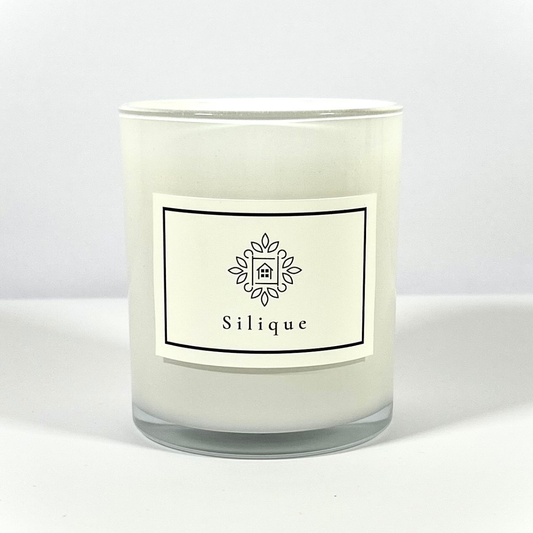 Classics Collection -White -Rock-salt & Driftwood Scented Candle-0