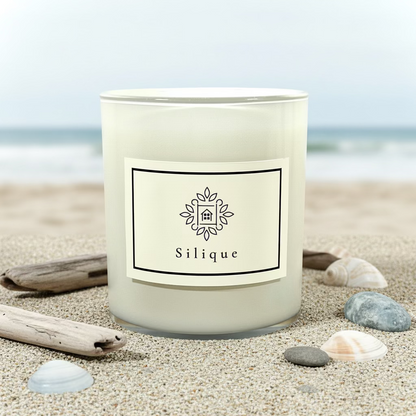 Classics Collection -White -Rock-salt & Driftwood Scented Candle-1