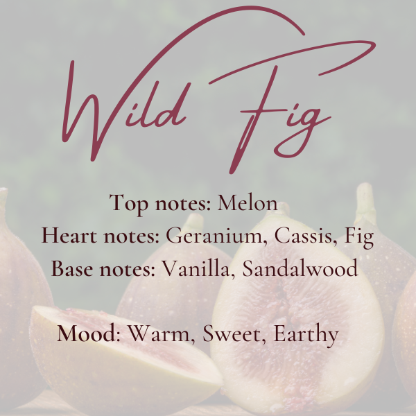Wax melts - Wild Fig-3
